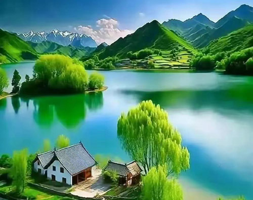 公司的五险一金